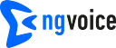 ng-voice